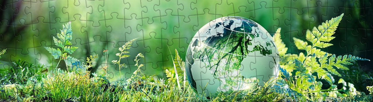 Sustenabilitatea ati puzzleyou