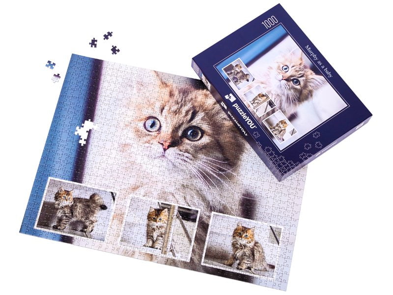 foto puzzle 1000